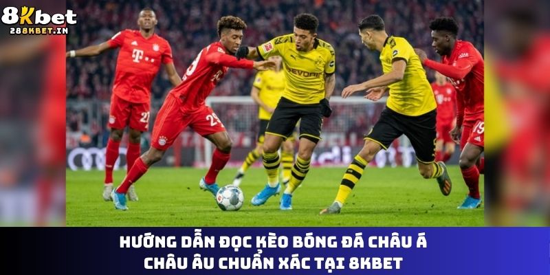 Hướng dẫn đọc kèo bóng đá châu Á châu Âu chuẩn xác tại 8KBET